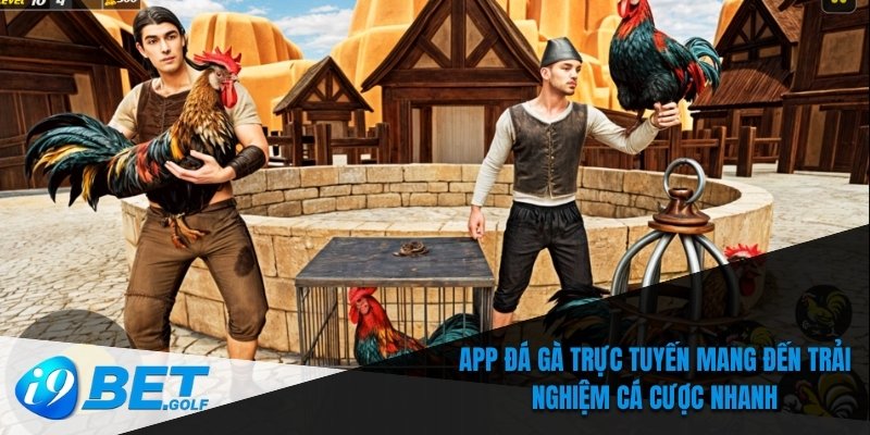 App đá gà trực tuyến mang đến trải nghiệm cá cược nhanh